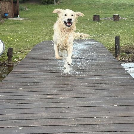 Agroturystyka Nad Czarnym Giby Esterno foto