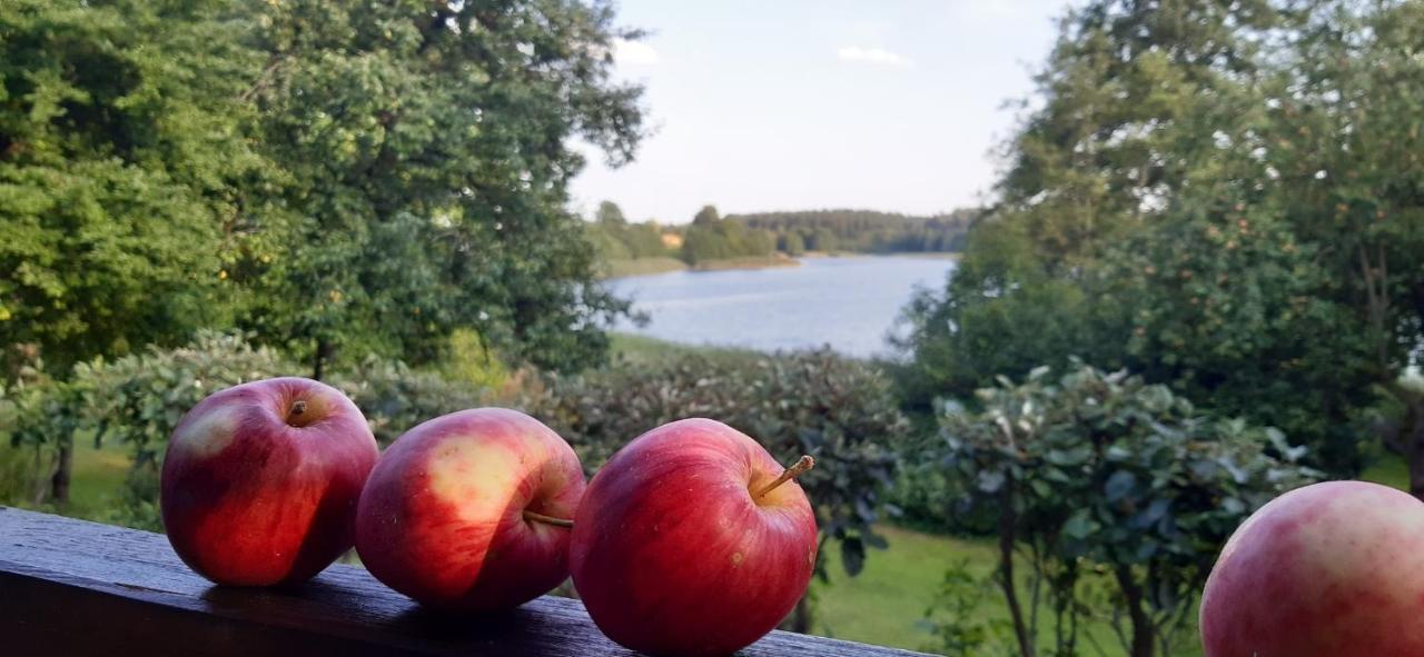 Agroturystyka Nad Czarnym Giby Esterno foto