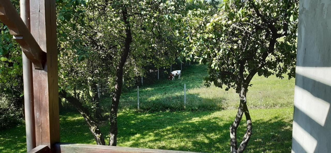Agroturystyka Nad Czarnym Giby Esterno foto